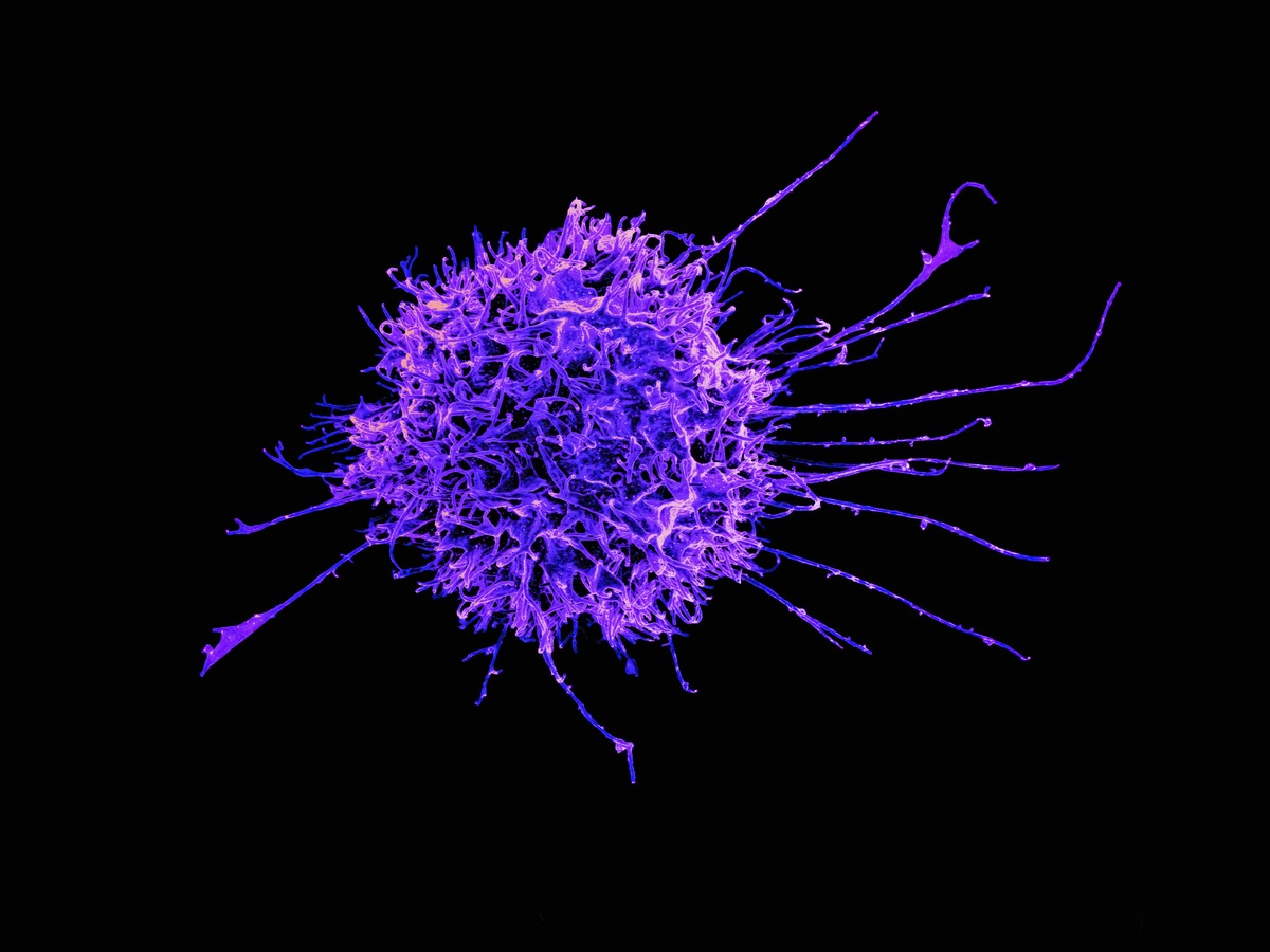 Immuno-Oncology