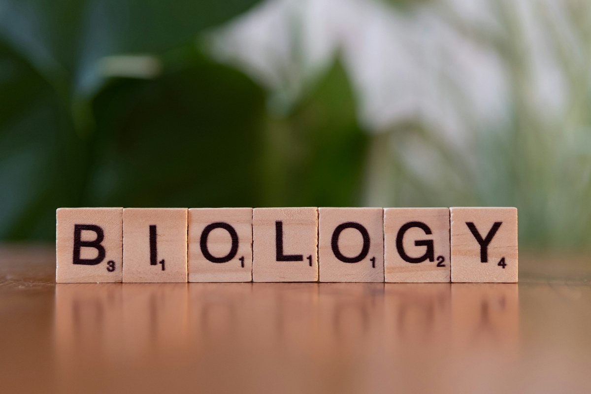 oncologydevelopment
